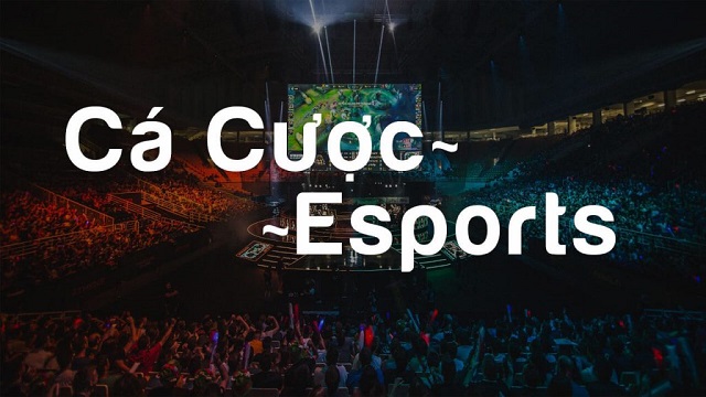Cá cược Esport là gì?