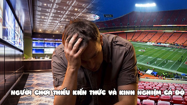 Chưa hiểu về cá độ bóng đá là lý do tại sao cá độ bóng đá luôn thua