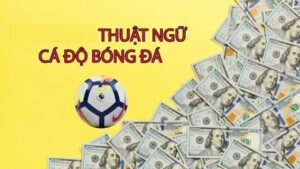Khái niệm thuật ngữ cá độ bóng đá