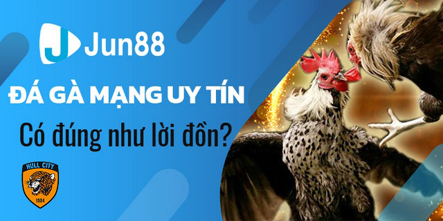 trang đá gà mạng