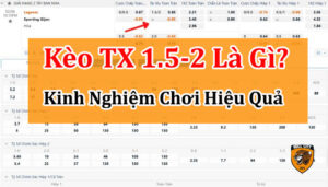 tài xỉu 1 3/4 là gì