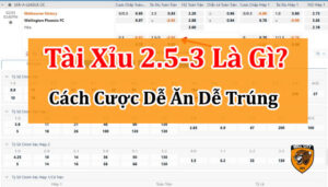 tài xỉu 2.5--3