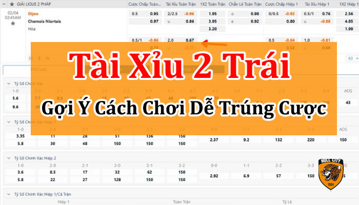 tài xỉu 2 trái là sao